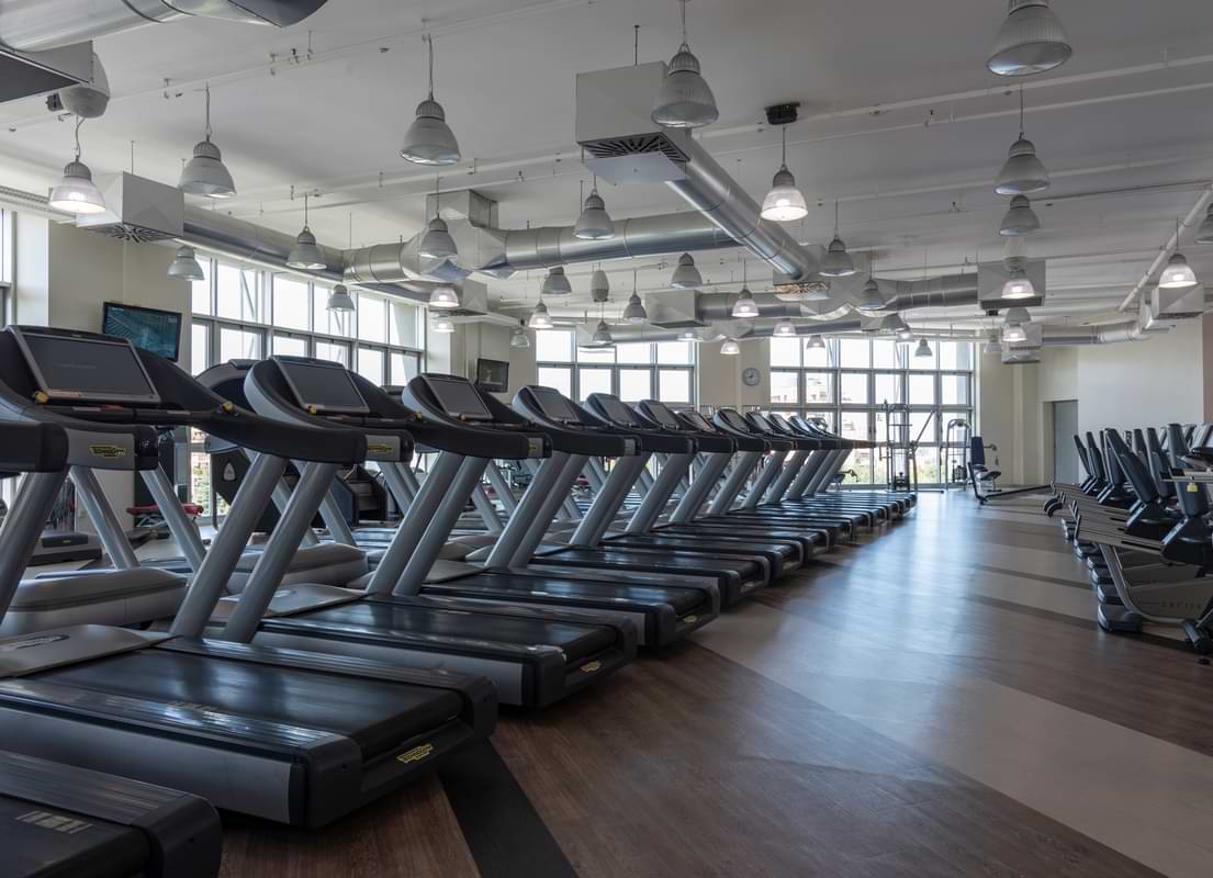 Gym Floor