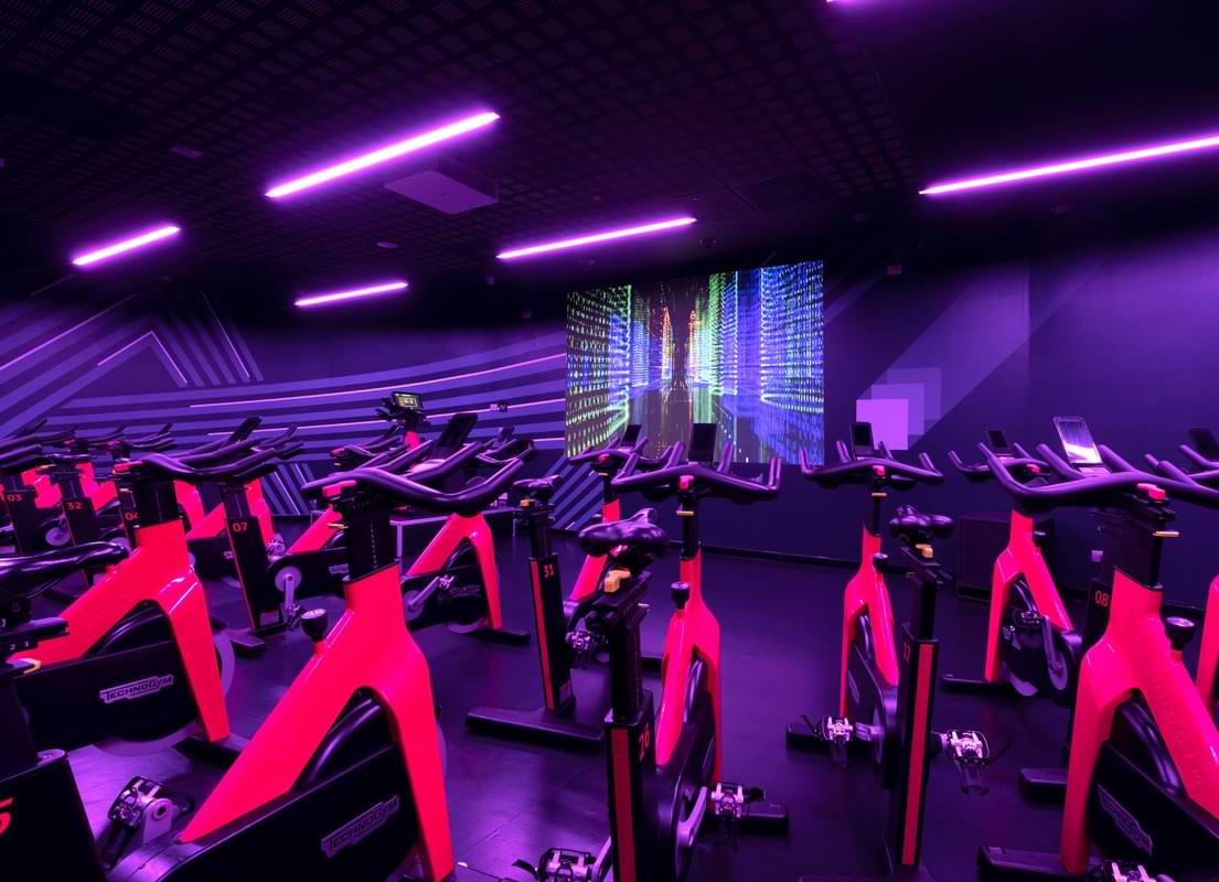 Cycle Studio