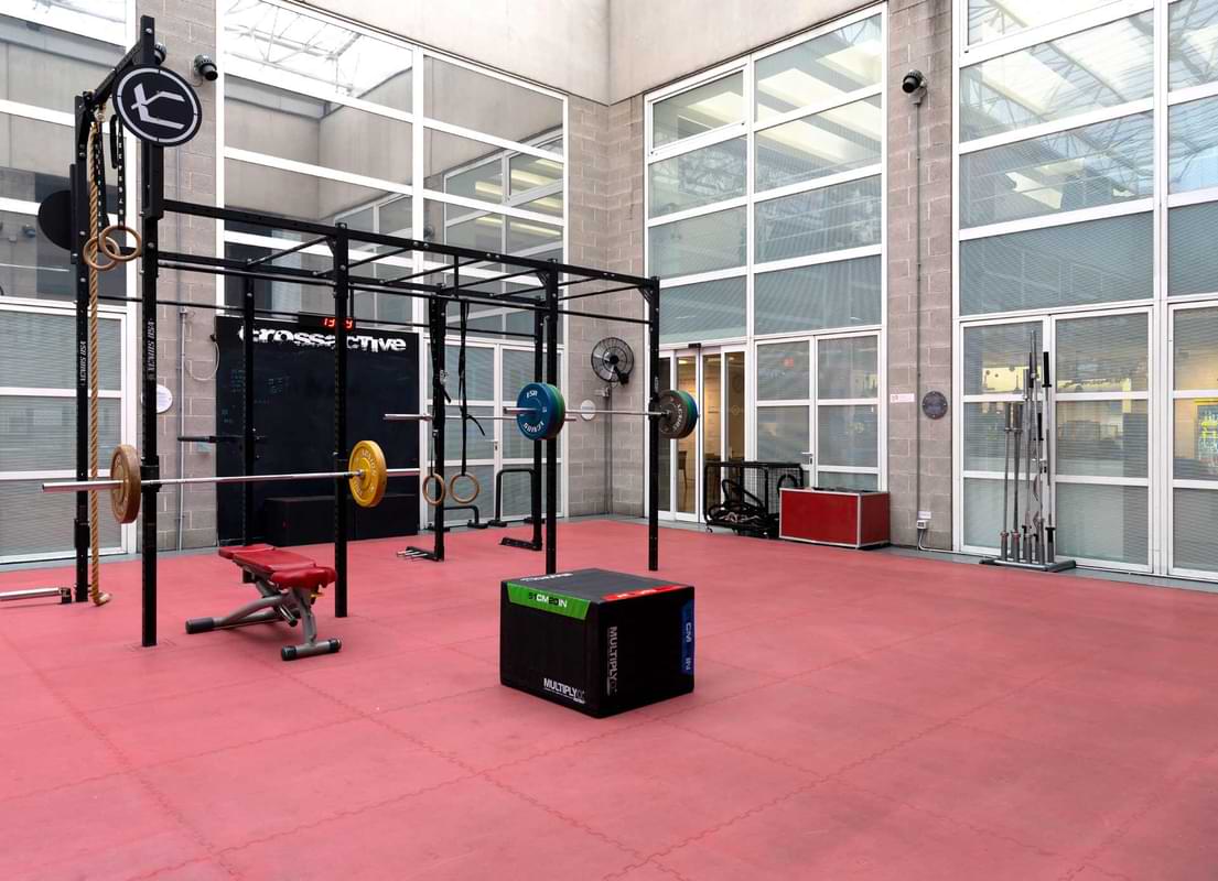 Area<br>Cross Active