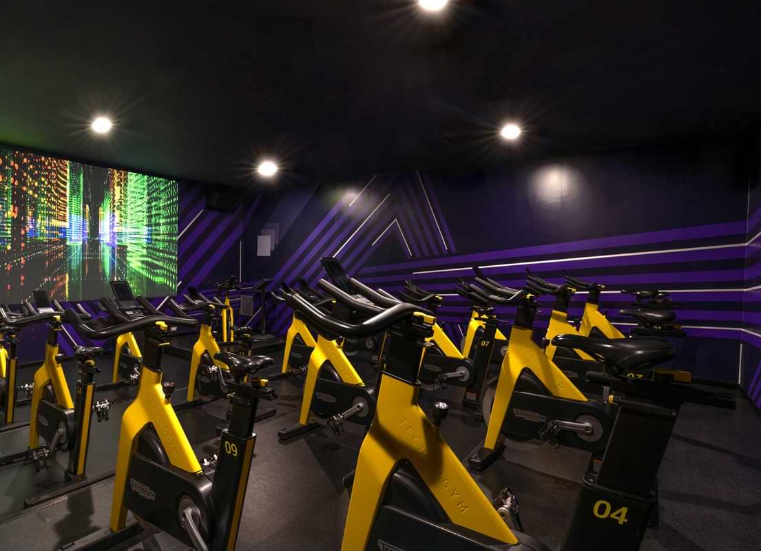 Studio Cycle