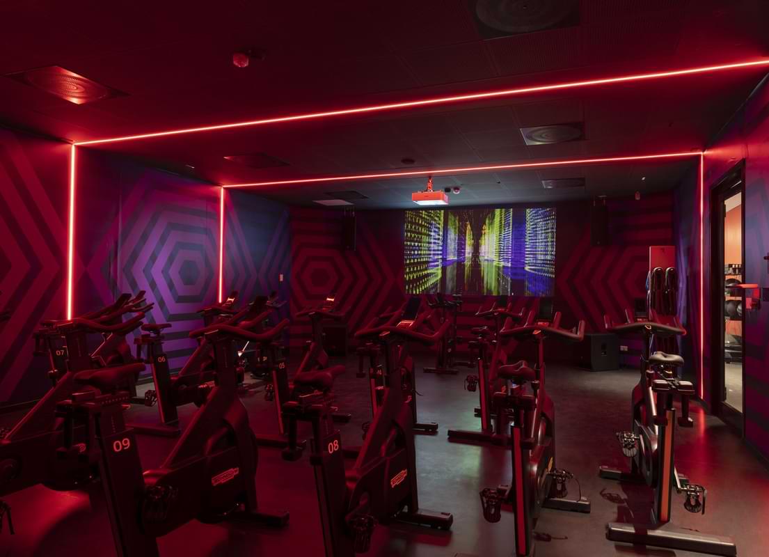 Cycle Studio