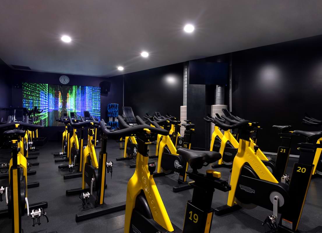 Cycle Studio