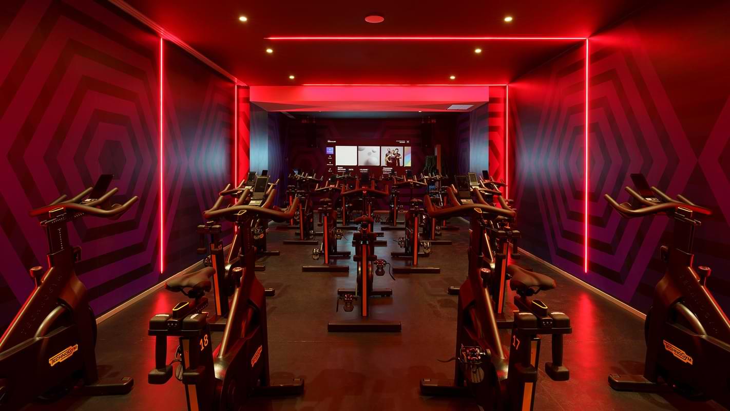 Cycle Studio