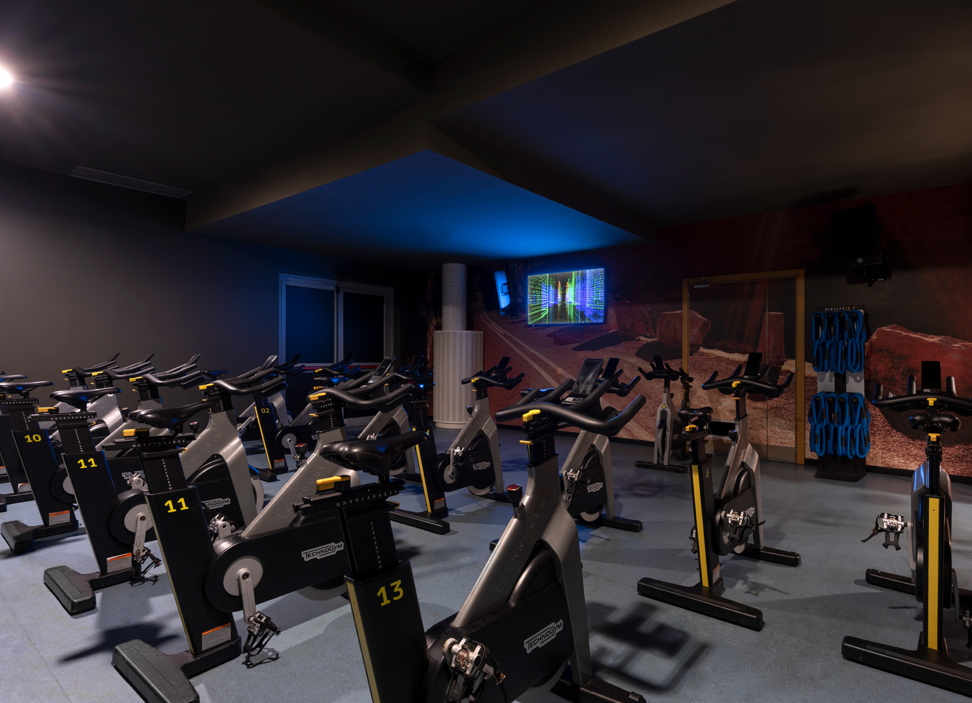 Cycle Studio