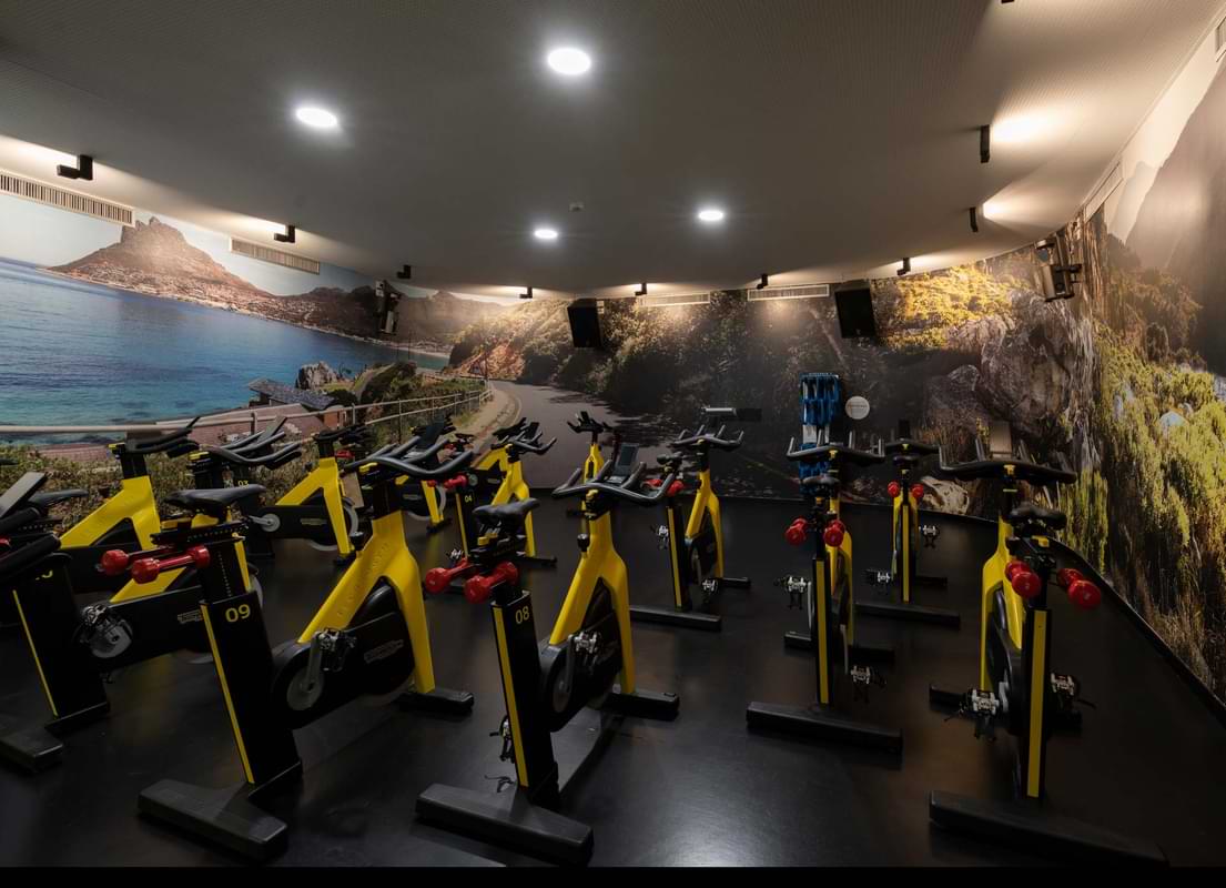 Studio Cycle