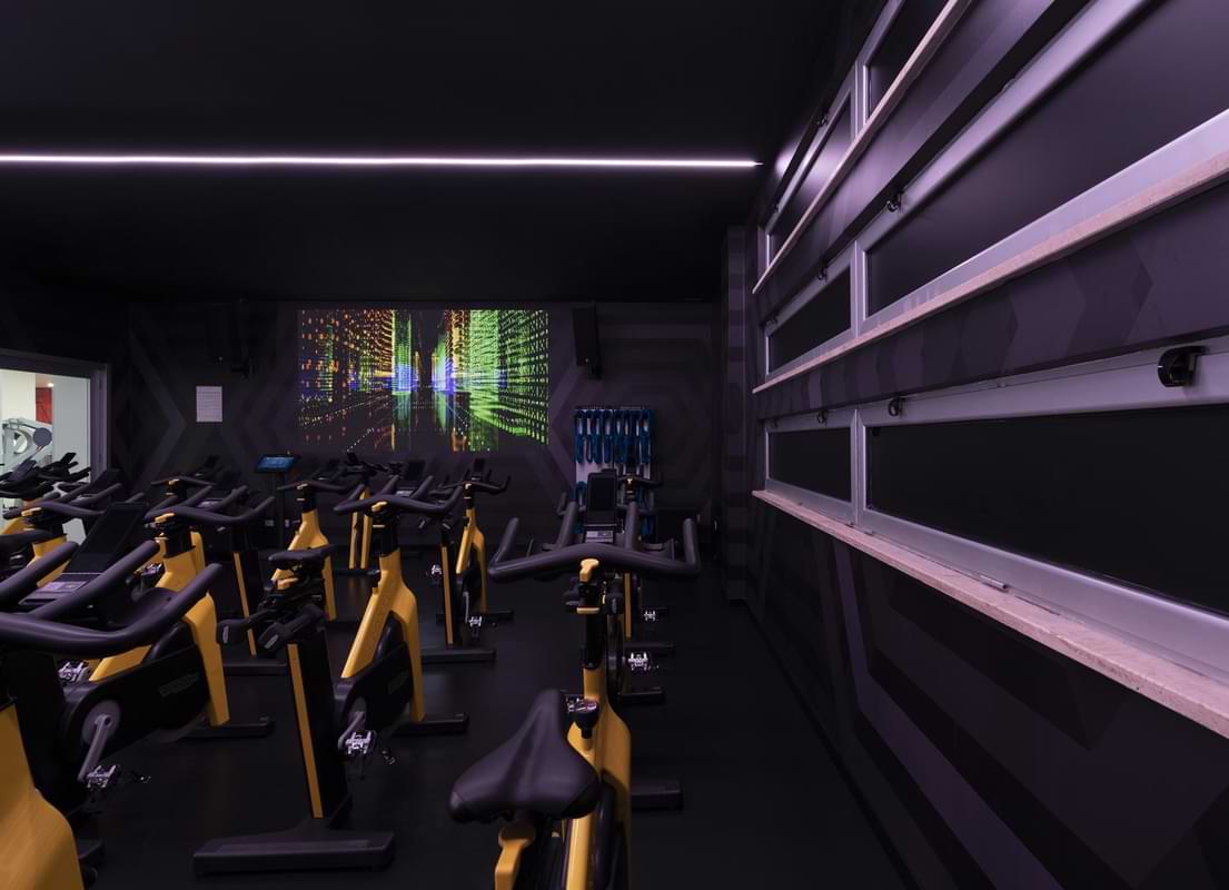 Cycle Studio