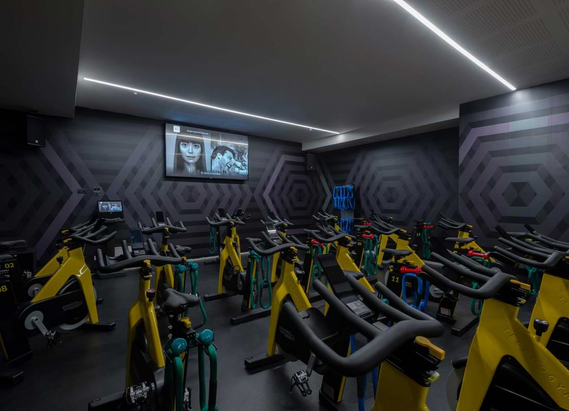 Cycle Studio