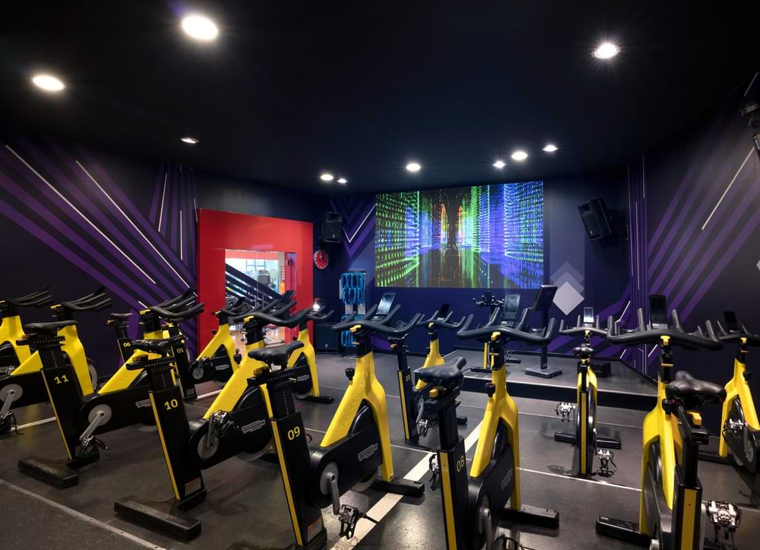 Cycle Studio