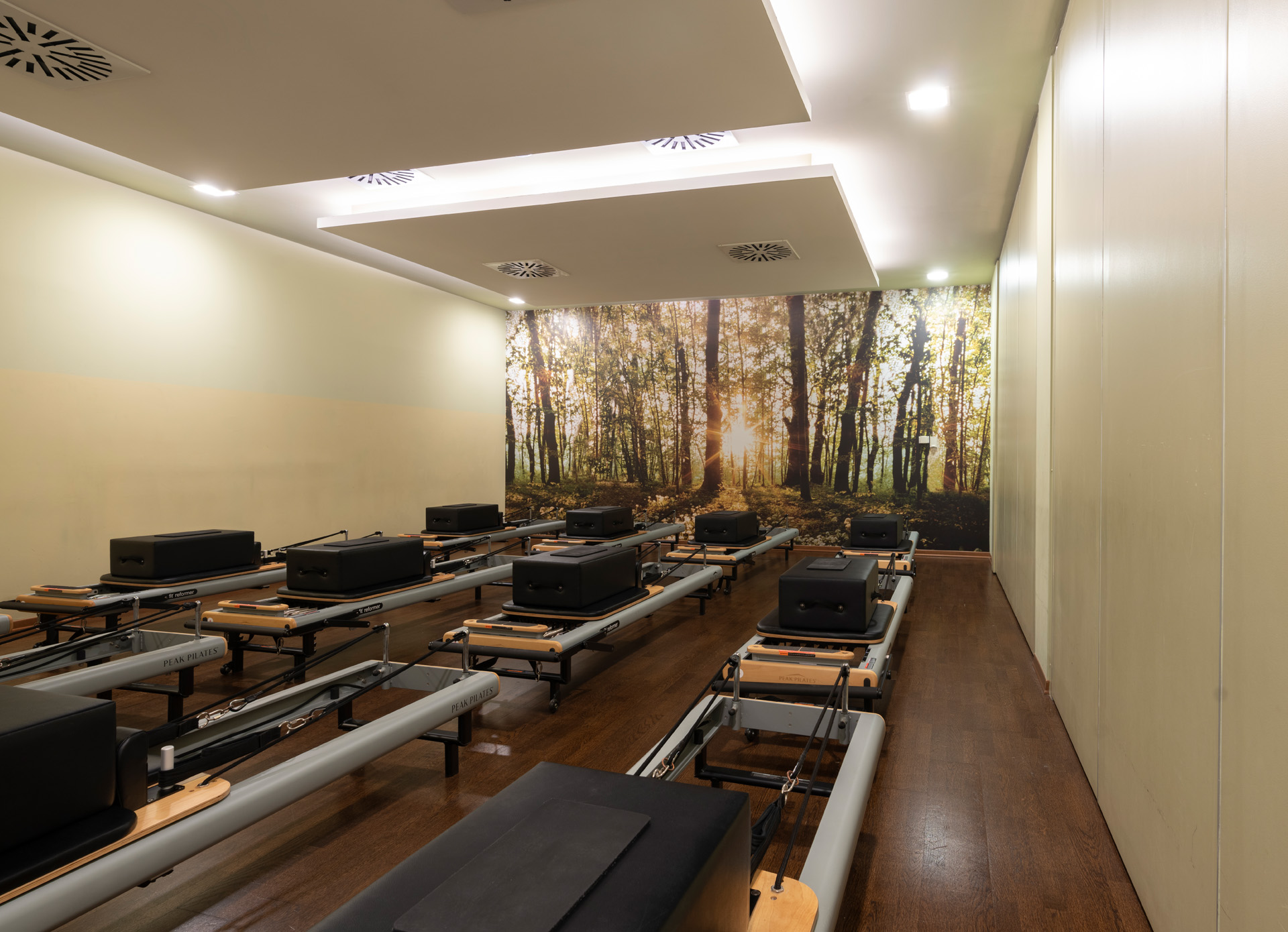 Studio<br>Reformer Pilates